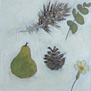 Primrose and feather